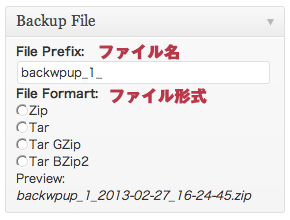 Backup File